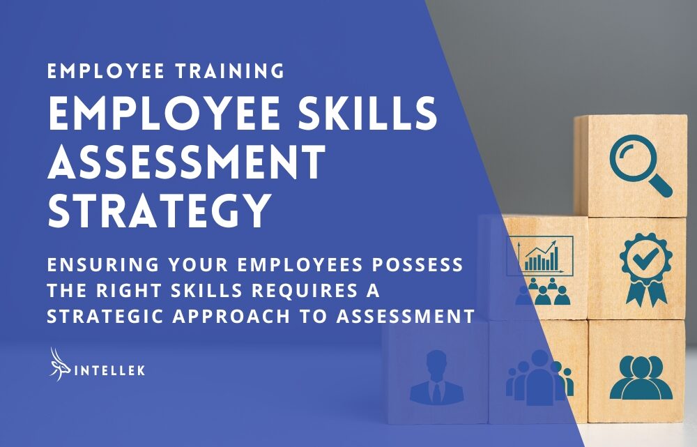 Employee Skills Assessment Strategy