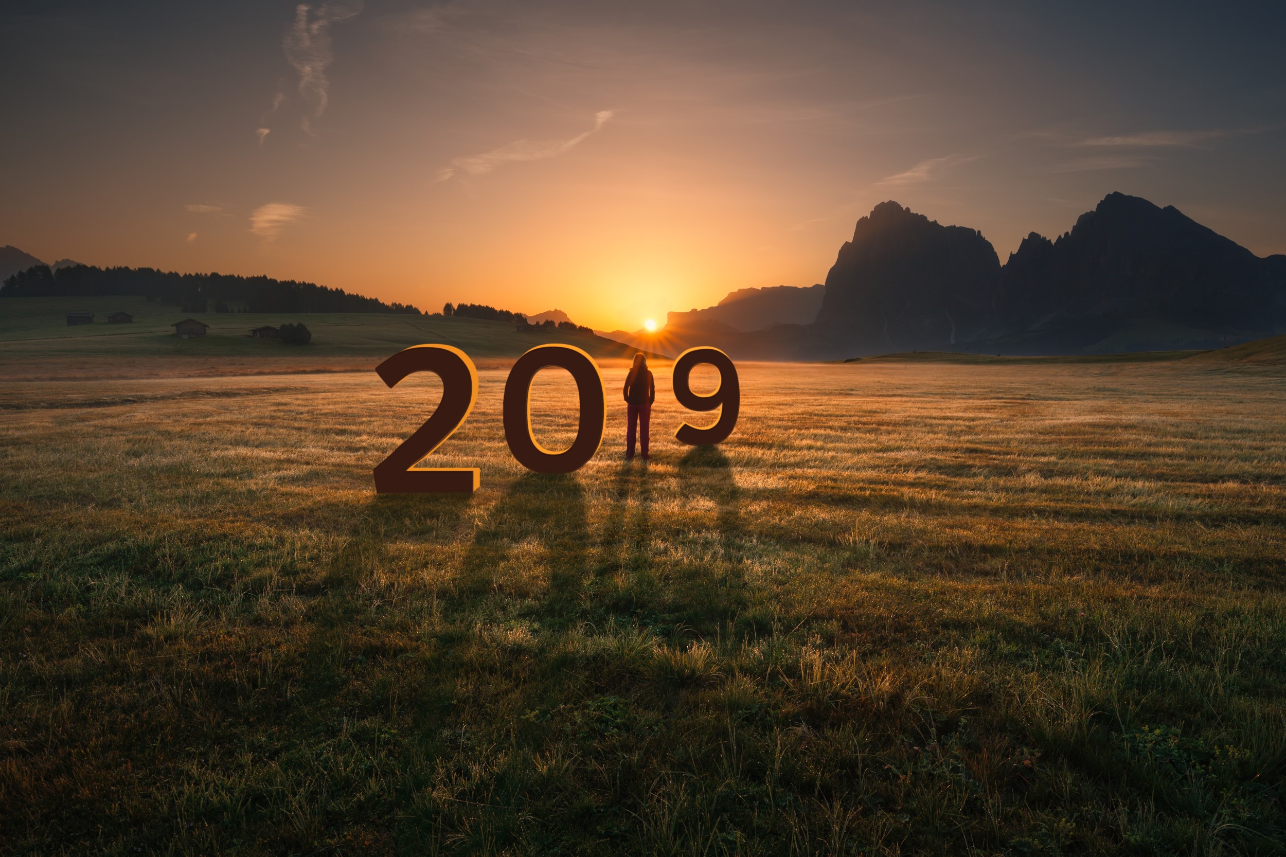 Look Back at 2019