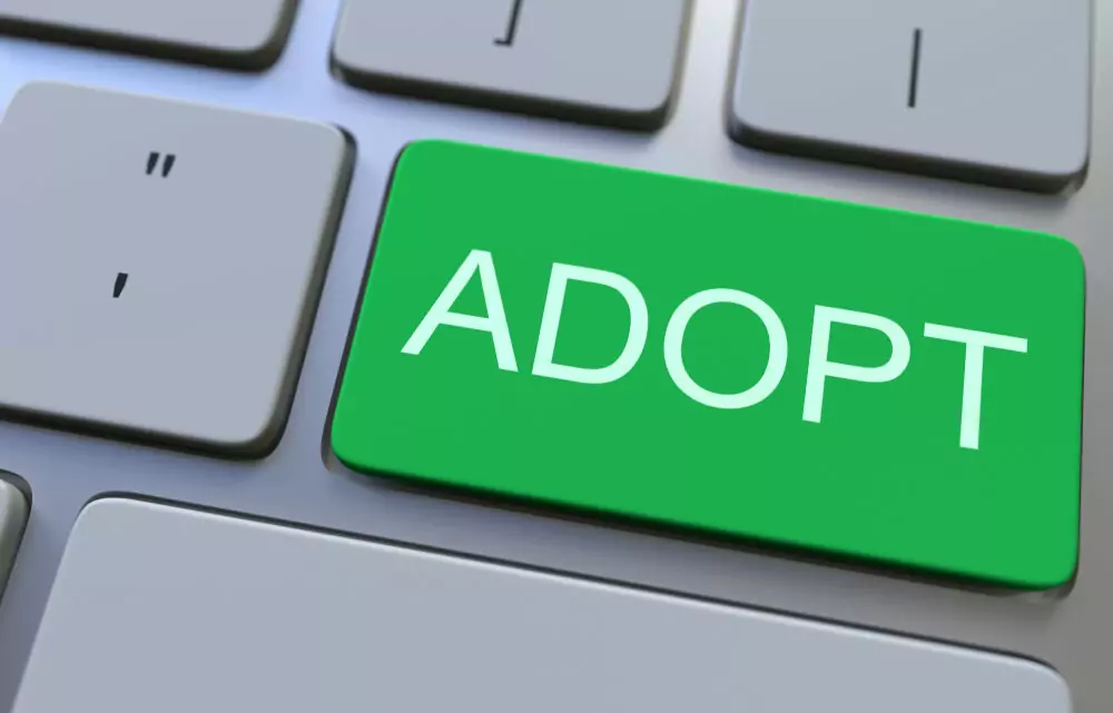 Increase User Adoption With DAP