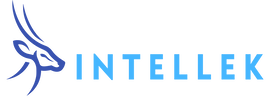 Intellek Logo Web New 1