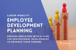 Create an Employee Development Plan