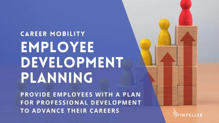 Create an Employee Development Plan