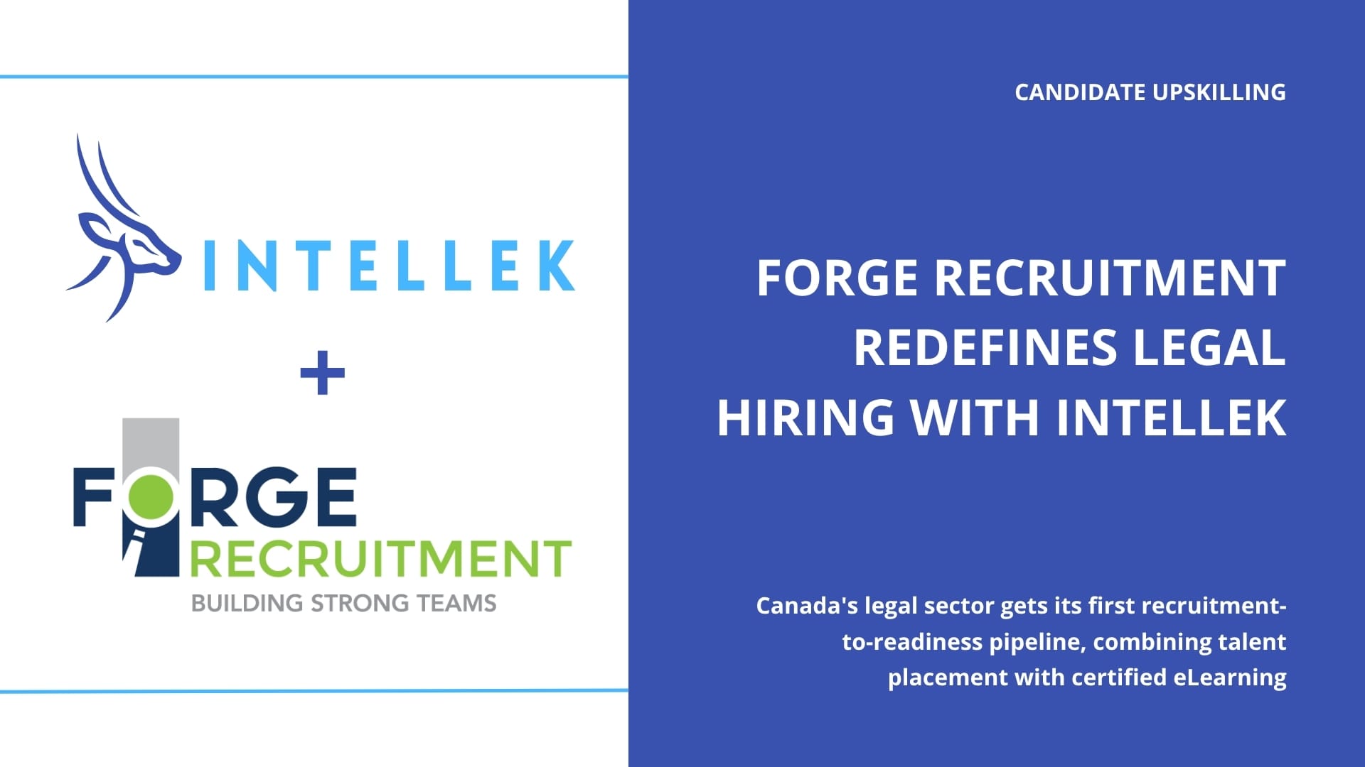 Candidate Upskilling - Forge Recruitment Redefines Legal Hiring