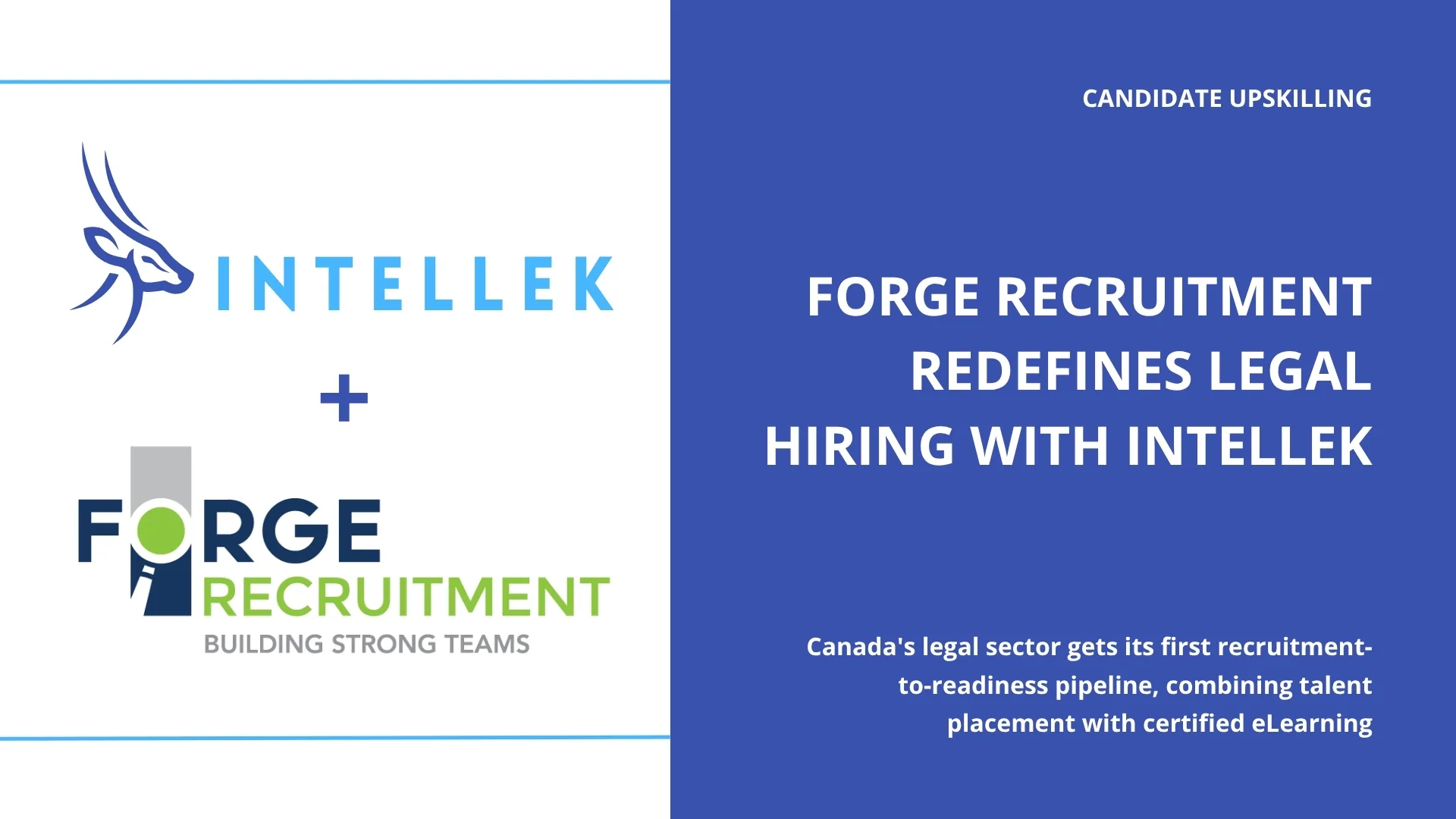 Candidate Upskilling - Forge Recruitment Redefines Legal Hiring